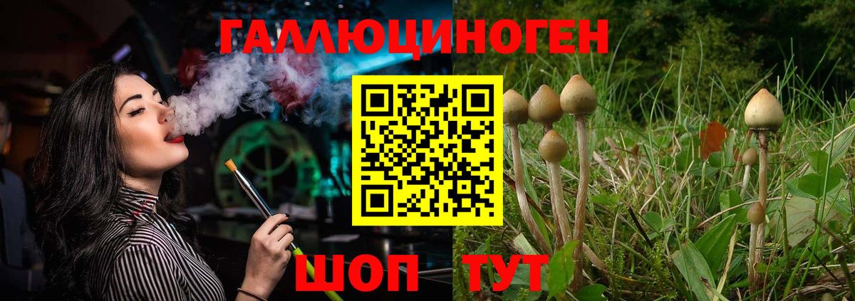 Краснознаменск  Псилоцибиновые грибы мухоморы  Вход с VPN 